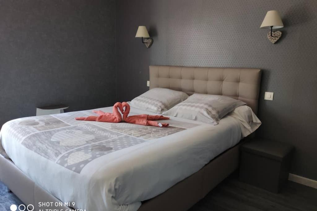 Bel Appart. 3 Mn Plage, Wifi 10 Min De Collioure Argelès-sur-Mer Eksteriør bilde